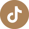 tiktok icon